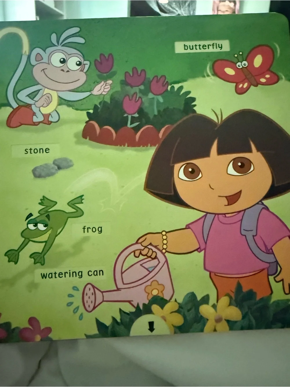 Dora's Book of Words / Libro de palabras de Dora - Green Bilingual Kids Toy